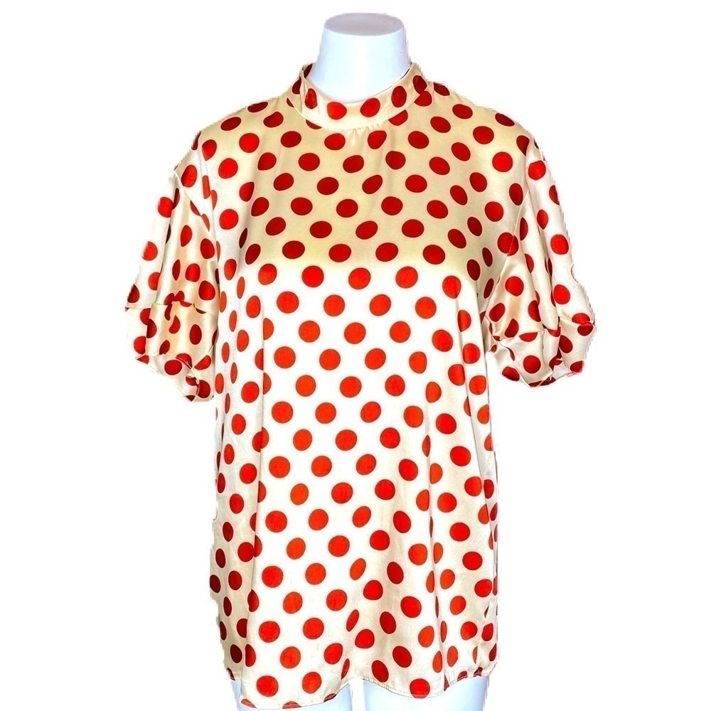 trf Collection Zara Polka Dot Blouse